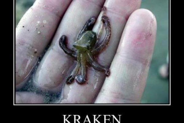 Правильная ссылка на kraken onion kramp.cc